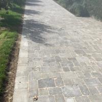 Pose de pavés sur allée
